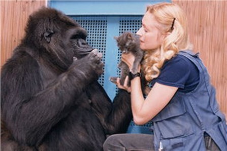 Поговори с ней